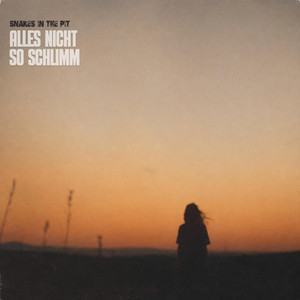 Alles nicht so schlimm by Snakes in the Pit