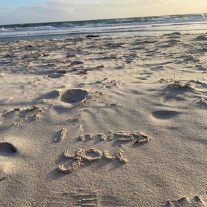 her, one day by Hayu