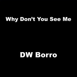 Why Don't You See Me