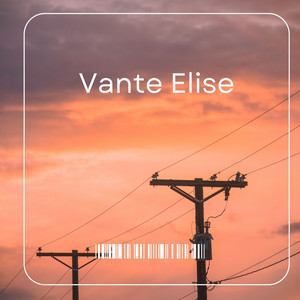 Elise Facades by Vante Elise