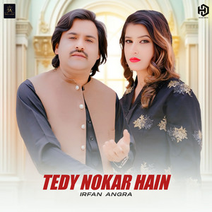 Irfan Angra - Tedy Nokar Hain