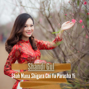 Shandi Gul - Shah Mana Shigara Chi Ya Parasha Yi