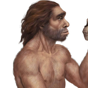 neanderthal by ocelot