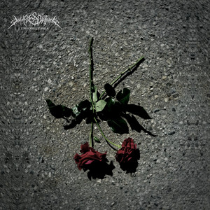 UNFORGIVABLE by Divine Destruction