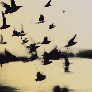 砂漠 EN EL CIELO by Lesksandro