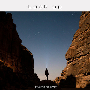 Look up by Forest of Hope