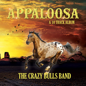 True by The Crazy Bulls Band