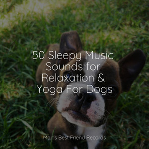 50 Sleepy Music Sounds for Relaxation & Yoga For Dogs album