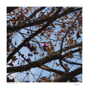 Prod by Rose - Monaco