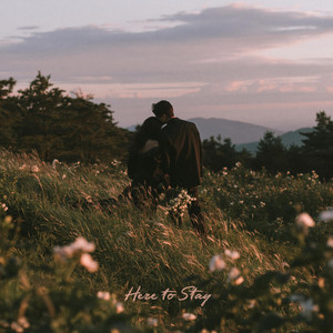 Here to Stay by SHUNÉ