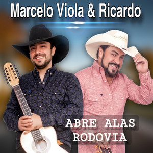 Marcelo Viola e Ricardo