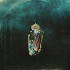 Womb by In Our Name