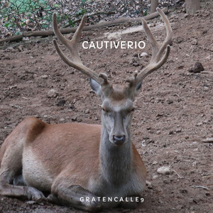 Cautiverio by Gratencalle9