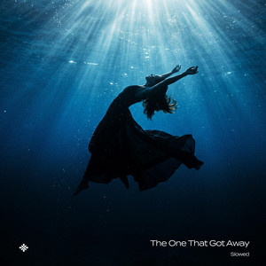 The One That Got Away (Orchestra - Slowed)