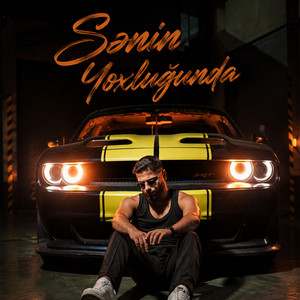 Sənin Yoxluğunda by Farid Gasanov