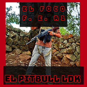 el Pitbull LDK - El Foco F.E.R1