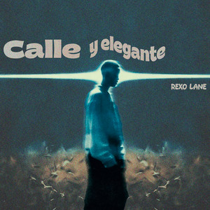 Calle y Elegante by Rexo Lane