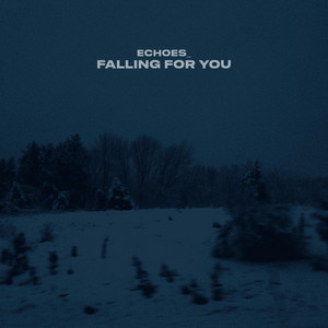Echoes_ - falling for you by Jaco Records., Echoes_
