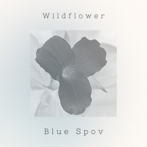 Wildflower by Blue Spov