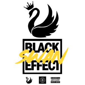 Black Swan Effect