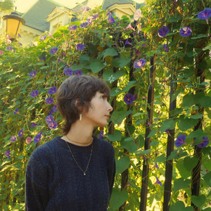 Morning Glories