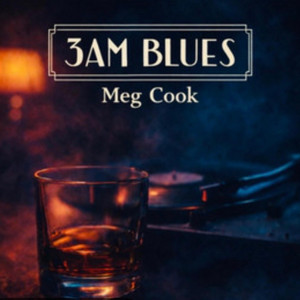 Velvet Lies by Meg Cook