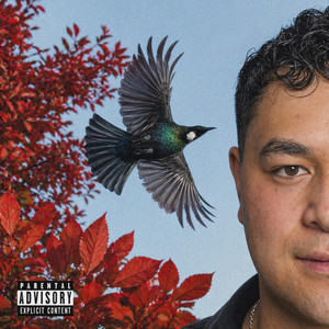 Holiday by Toby Tui