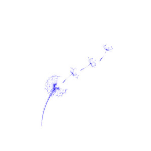 Yannick Lowack — Im Wind (2026)
