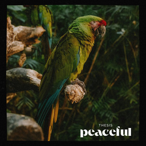 Peaceful (Radio Edit) by Thesis