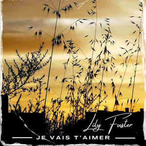 Je Vais T'aimer