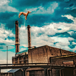 Éloge de la chute by Les Chiens