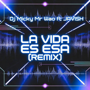 La Vida Es Esa (Remix) [feat. Javish]