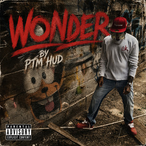 Wonder by PTM Hud