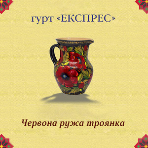 Червона ружа троянка