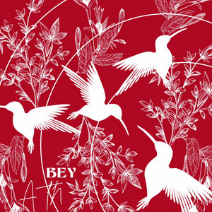 Portada de Bey