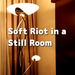 Soft Riot in a Still Room by 2strings