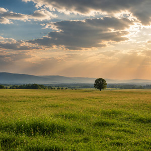 Open Fields by Iron Sage