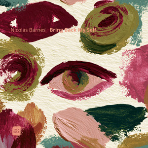 Looking In The Bass - Radio Version by Nicolas Barnes