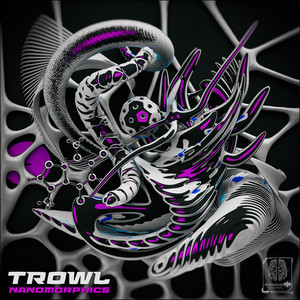 Nanomorphics cover art