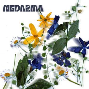 NEDARMA — Ілюзія