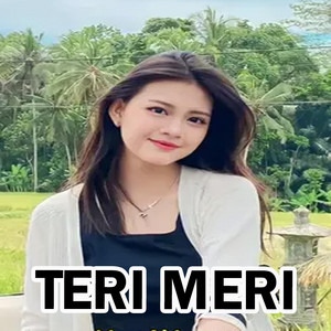DJ LEYO - Teri Meri