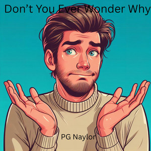 Don't You Ever Wonder Why by PG Naylor