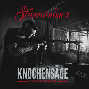 Im Bann der schwarzen Sonne by Störmanöver