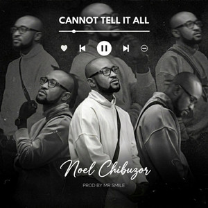 Cannot Tell It All by Noel Chibuzor