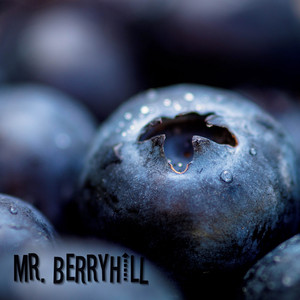 Mr. Berryhill | Spotify