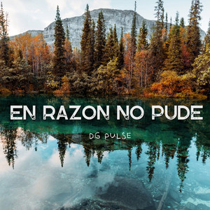 En Razon No Pude by DG Pulse
