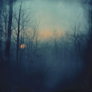 broken wilderness by emptyshape