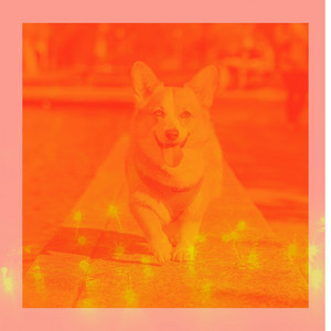 Music for Well Behaved Puppies album