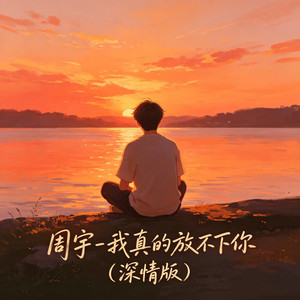 我真的放不下你 - 深情版 by 周宇