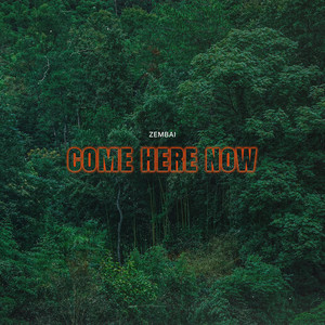 Come Here Now by ZEMBAI
